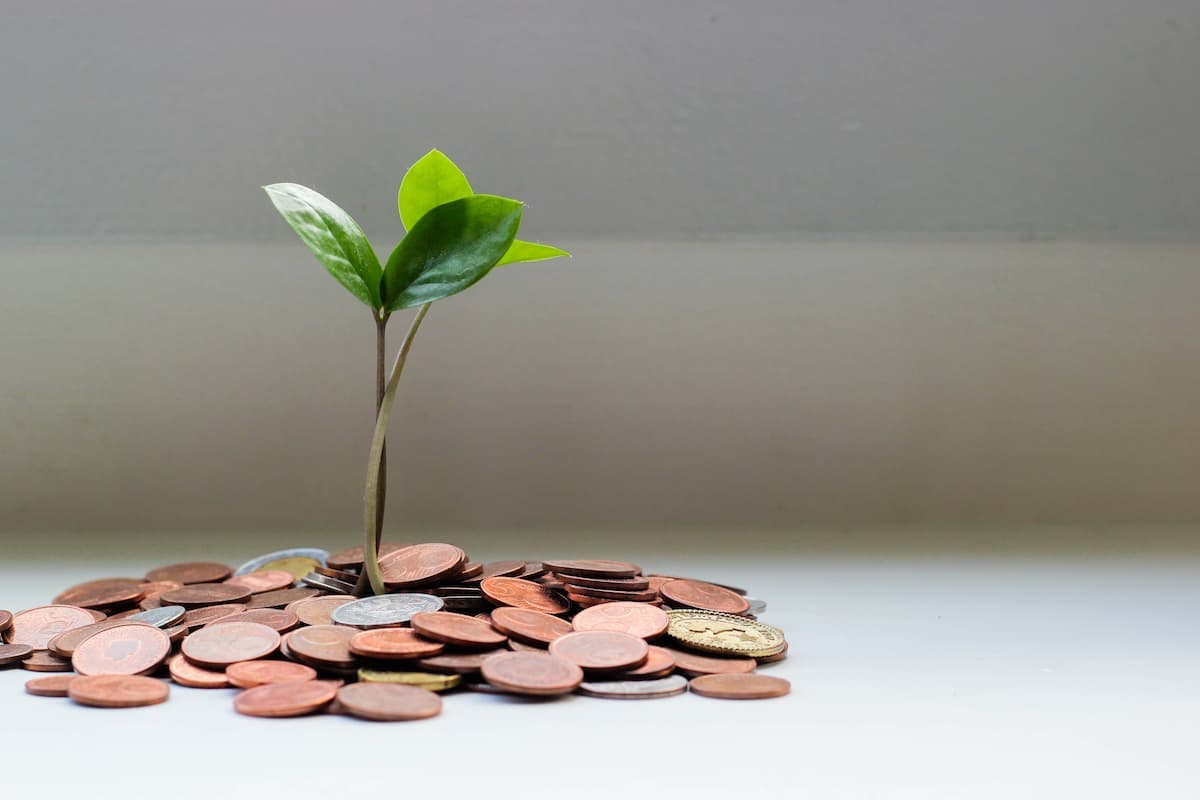 grow plant with pennies